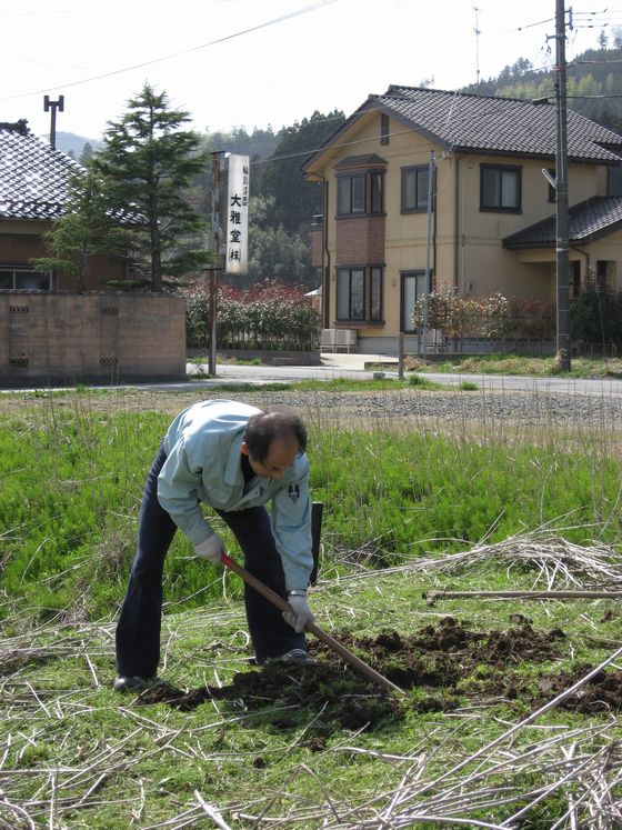 漆の苗木を植樹しました